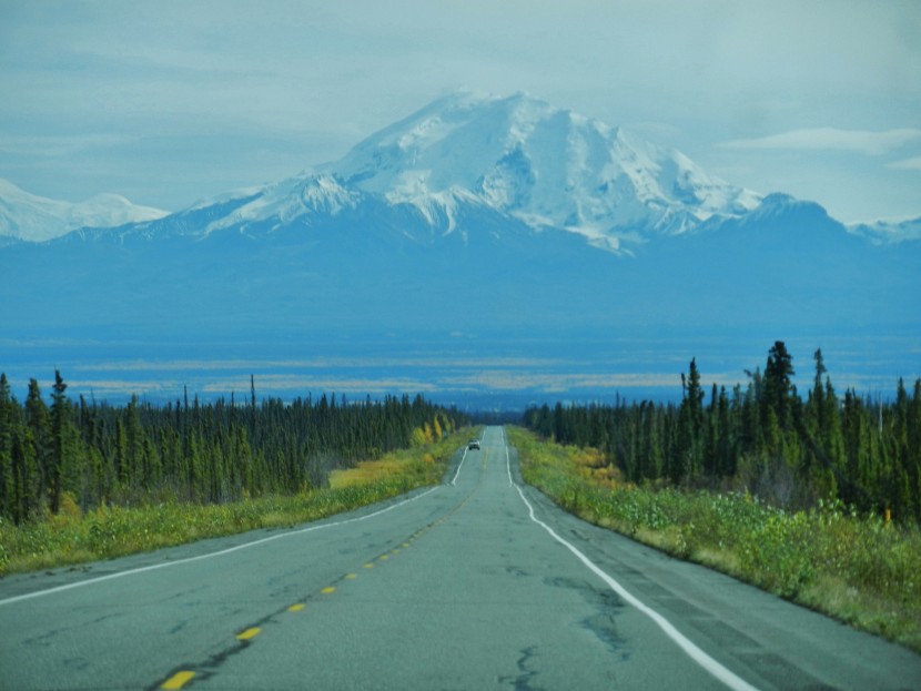 A road leading to Denali