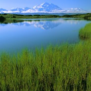 Alaska in the Spring