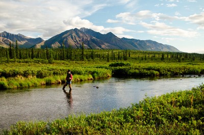 Fishing for Arctic Grayline