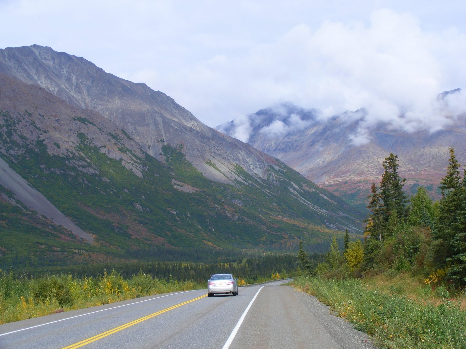 Less than an hour outside Fairbanks is the lush Tanana Valley State Forest, which surrounds George Parks Highway on both sides (Source: Justus Havelaar)