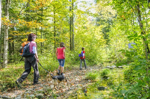 A family hikes through the woods