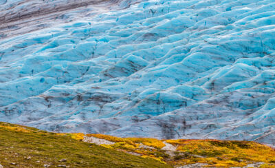 Harding Ice Field