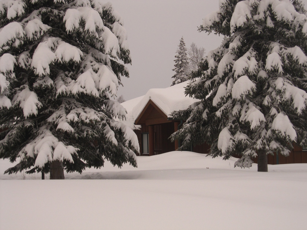 McKinley Princess Wilderness Lodge