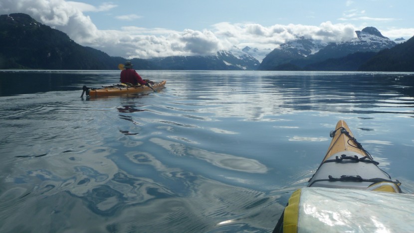 Kayakers in Prince William Sound