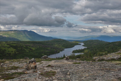 Kesugi Ridge Trail