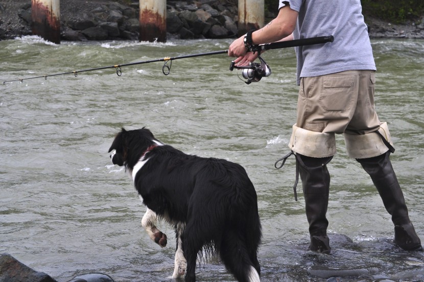 A fisherman holds his rod while a dog looks on