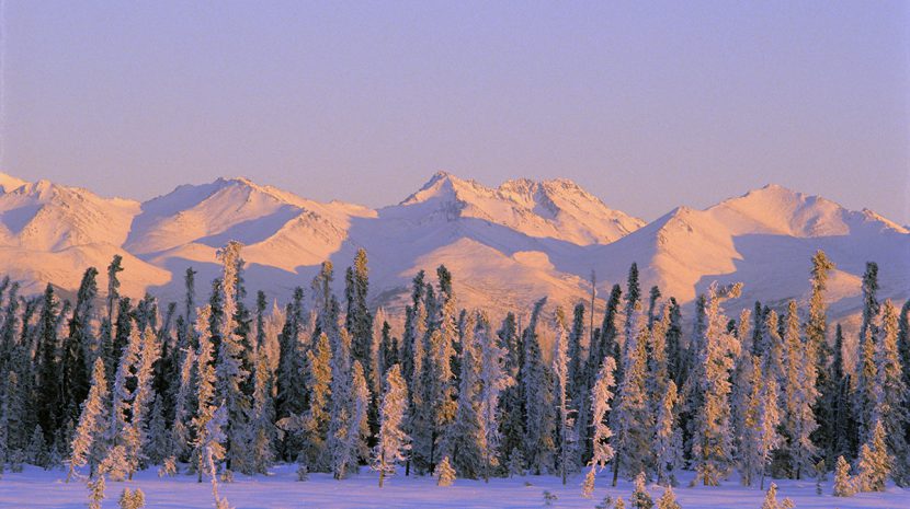 Snowy mountains