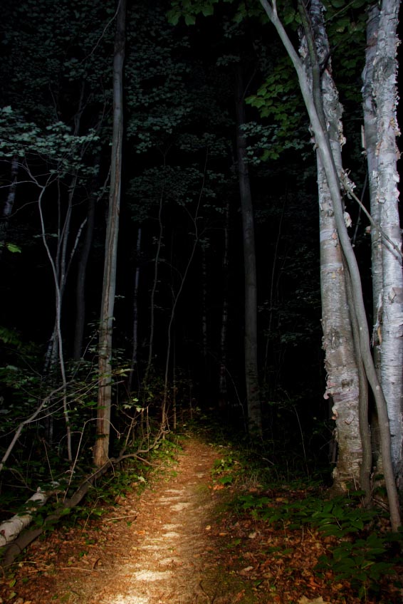 trail at night lit by flashlight